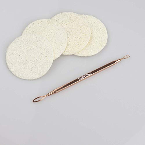 Ellen Tracy Blackhead and Whitehead Extractor, Comedone Extractor Tool for Removing Facial Blemishes Plus 4 Loofah Complexion Discs for Clear and Smooth Skin