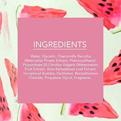 Beauty Concepts - 2 Pack (60 Count Each) Watermelon Detoxifying Facial Wipes