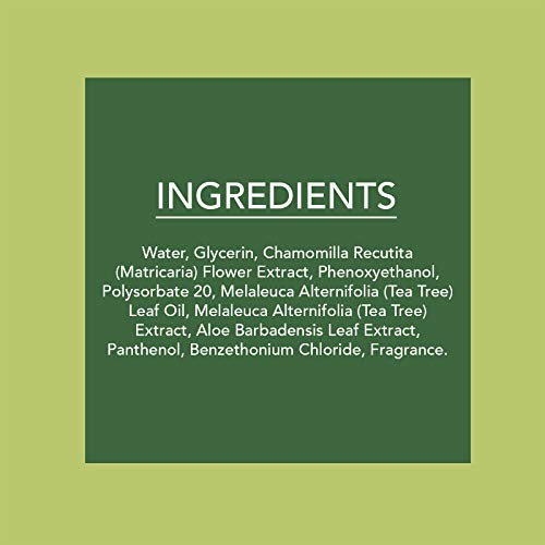Body Prescriptions Tea Tree Facial Wipes, Detoxifying + Moisturizing, Deep Cleansing Face Towelettes, Refreshing + Nourishing, Gentle Cleansing Cloths (50 Wipes)
