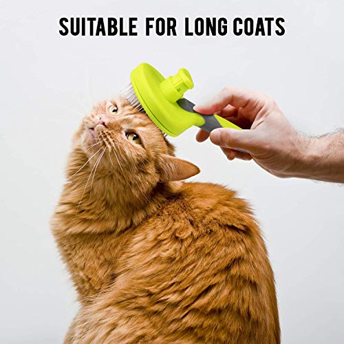 Precious Tails Retractable Slicker Brush for Cats and Dogs, Pet Hair Brush, Grooming Brush with Soft Grip Handle (Green and Gray)