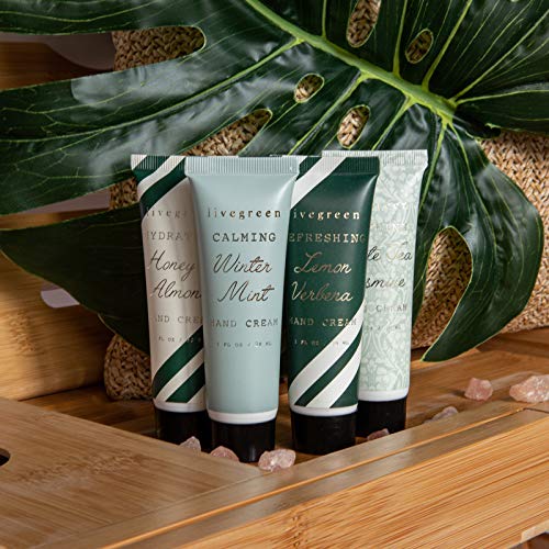 Aroma Therapy Cream Set in Honey & Almond, Winter Mint, White Tea Jasmine, and Lemon by Live Green