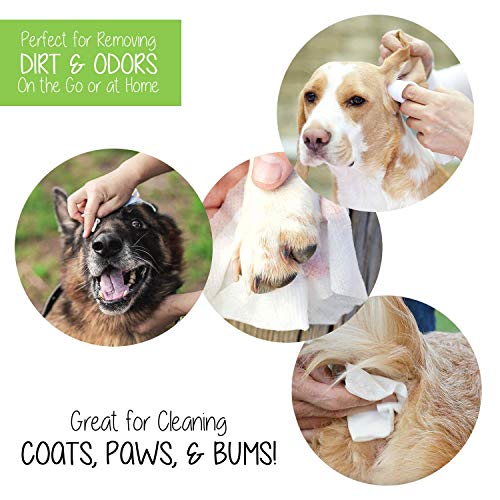Precious Tails Pet Wipes (120 Count) - Extra Gentle Deodorizing Dog Grooming Wipes with Aloe Vera and Vitamin E, Alcohol Free - Fresh Scent (Live. Love. Wipe.)