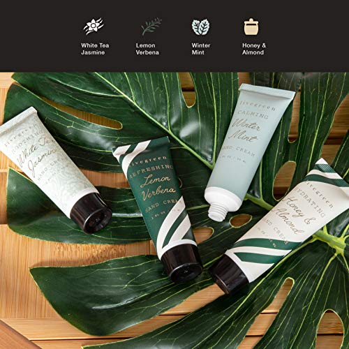 Aroma Therapy Cream Set in Honey & Almond, Winter Mint, White Tea Jasmine, and Lemon by Live Green