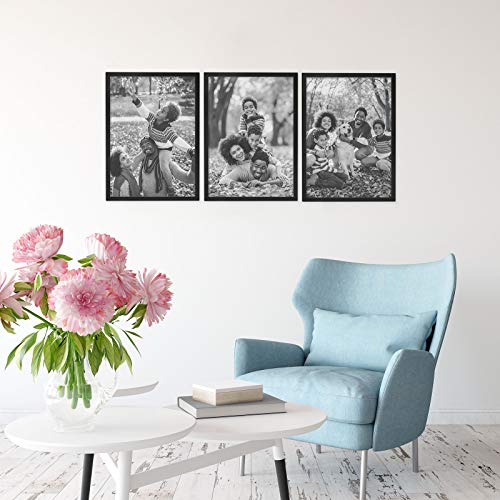 Sheffield Home Decor Collection- 2 Piece Picture Frame Set 20x30in