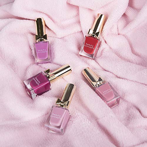 Beauty Concepts Holiday Nail Polish Gift Set- 5 Piece Nail Polish Set in Gift Box
