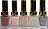 Beauty Concepts Holiday Nail Polish Gift Set- 5 Piece Nail Polish Set with Holiday Ornament Gift Box